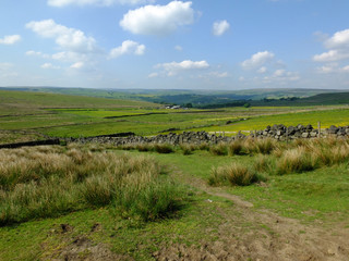 Fototapeta premium scenic view of a path on the edge of moorland in calderdale west yorkshire with rough tussock grass with dry stone walls bordering pastureland with farmhouses and pennine hills visible in the distance