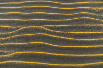 Sand folds at sunset
