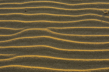 Sand folds at sunset