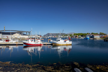 Fototapeta premium From the fishing port in Bronnoysund Nordland county