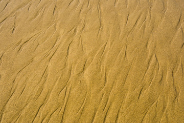 Sand folds at sunset