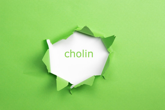 Schrift "cholin" gr&uuml;n