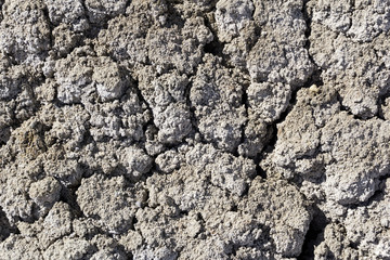 background, texture - lifeless cracked dry saline desert soil
