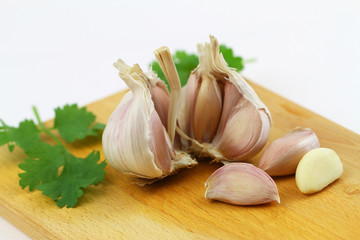 Garlic and fresh coriander leaves on wooden board
