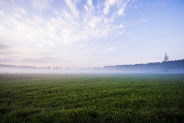 Colorful spring sunrise in Latvia. A view of the green country field under the morning fog