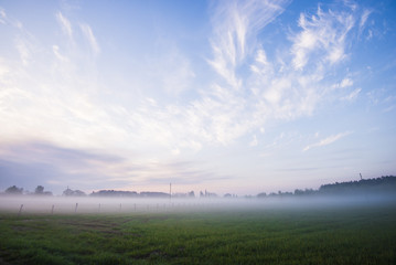 Colorful spring sunrise in Latvia. A view of the green country field under the morning fog