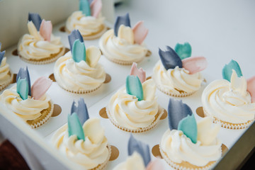 Muffins with white cream and decoration. Homemade cupcakes