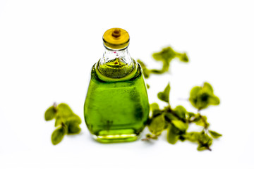 Greed colored floral and medicinal essence of Mint or peppermint or phudina in a transparent bottle...
