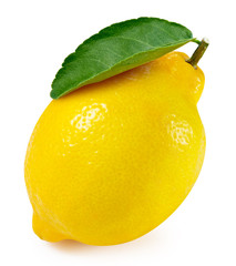 lemon fruit leaf
