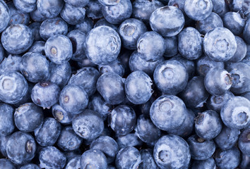 Freshly picked blueberries background