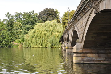 Brücke über The Long Water in Kensington Gardens mit Trauerweide