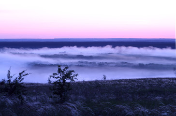 Dawn in the nature.