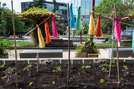 Huerto Urbano en un parque de Chamber&iacute; (Madrid) frente a unos edificios de oficinas.