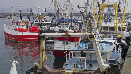 Fleet of fishing  trawlers in Brixham harbour