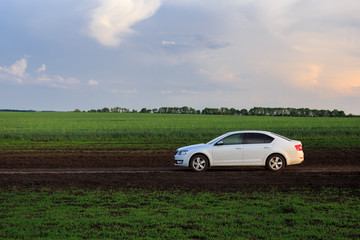 Fototapeta na wymiar A white car on the road, in the background a green field.