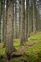 Landschaft in Südtirol