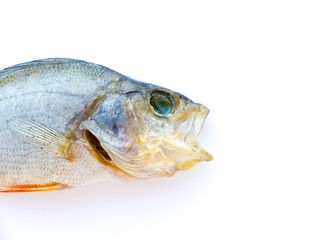 Dried Fish.