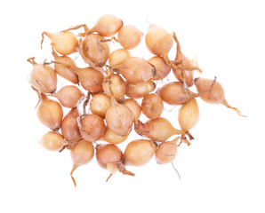 Fresh onions isolated on white background. Top view. 