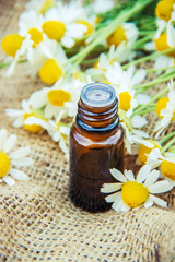 Chamomile extract.