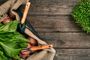 Red potatoes on burlap with greenery and a garden spade and rake on a wooden brown background
