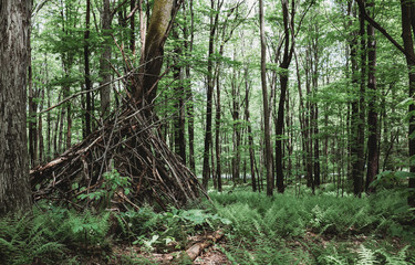 Forest Tee Pee