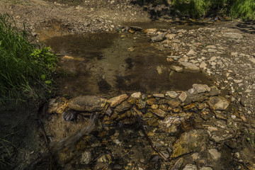 Ford with path on small creek near Roprachtice village