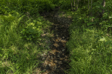 Obraz premium Ford with path on small creek near Roprachtice village
