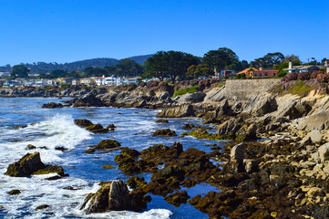 Pacific Grove coastline