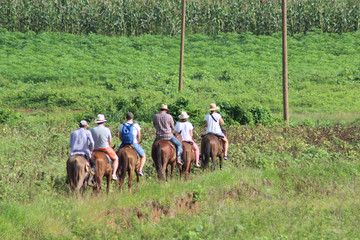 Horse ride in Vinales Cuba