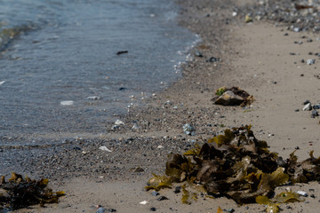 View from Skodshoved Strand and Aarhus. Denmark