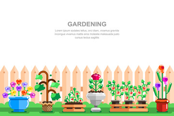 Country house gardening vector illustration. Pots with seeding vegetables, strawberry and flowers near wooden fence.