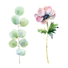 Set with anemone and eucalyptus © mika_48