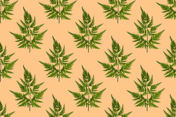 Naklejka na ściany i meble Seamless texture: leaves of herbae on pale yellow background