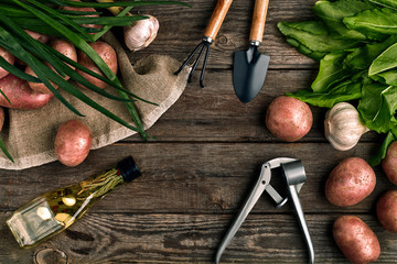 Fresh potatoes, oil, garlic and spicy herbs on a kitchen wooden background. Fresh vegetables from...