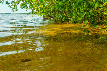 Lakes in the forests of Belarus