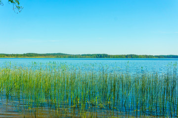 Lakes in the forests of Belarus