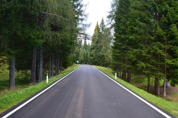Obraz premium Strada di montagna asflatata nei pressi di Auronzo di Cadore. Circondata da un folto bosco di abeti rossi e con al termine una curva a sinistra