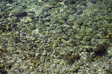 Adriatic sea in Rovinj. Istria. Croatia