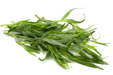 Tarragon (Artemisia dracunculus) Isolated on white background