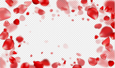 Falling Red rose petals on a transparent background.Vector illustration