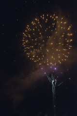 Feuerwerk Explosionen am Nachthimmel