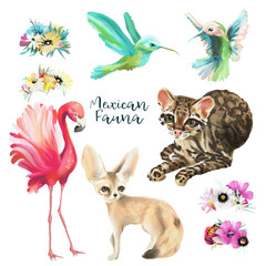 Mexican fauna - flamingo, fennec fox, hummingbird and ocelot cat (leopard, jaguar) with flower crowns, wreaths, floral bouquets isolated on white