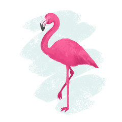 Summer print pink flamingo.