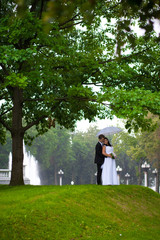 The bride and groom, hugging stand near the tree under a white umbrella