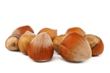 Hazelnut on a isolated on white background