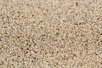 Sea sand, smooth background. Small pellets