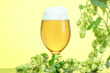 Pint of beer with ingredients for homemade beer on yellow