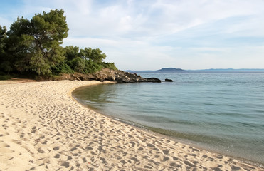 Pine trees, golden sandy beach in the evening at sunset in Greece.