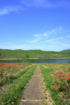 初夏の野反湖