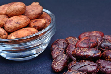 Cacao beans in a transparent bowl on blue background